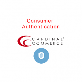 Consumer Authentication