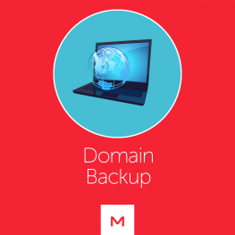 Domain Backup